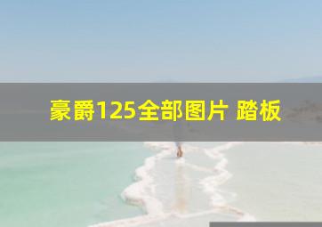 豪爵125全部图片 踏板